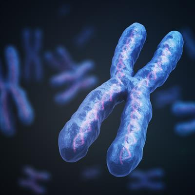 Cover image for research topic "Target Organ Damage in Fabry Disease"