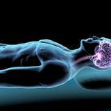 Cover image for research topic "Signaling Pathways and Brain Circuitry Underlying Circadian Rhythms and Sleep"