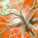 Cover image for research topic "Extracellular vesicles: emerging roles in the aged and neurodegenerative brain"