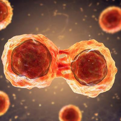 Cover image for research topic "Cell Cycle Modulators: Regulating the Basic Unit of Life for Disease Treatment and Tissue Regeneration"