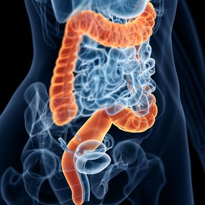 Cover image for research topic "Advanced Molecular Targets in the Diagnosis and Treatment of Gastrointestinal Cancers, volume II"
