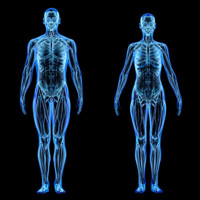 Cover image for research topic "Degenerative Musculoskeletal Disease: Causes, Molecular Mechanisms, and Solutions"