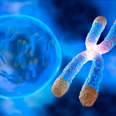 Cover image for research topic "Mechanistic Theories of Aging"