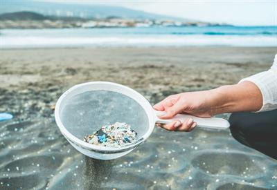 Cover image for research topic "Impacts of Emerging Contaminants and Their Ecotoxicological Consequences"