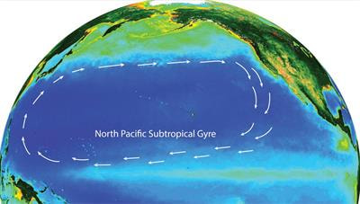 Cover image for research topic "Microbial Ecology in the North Pacific Subtropical Gyre"