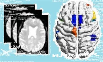 Cover image for research topic "The Physiology of Healthy and Pathological Brain with Aging"