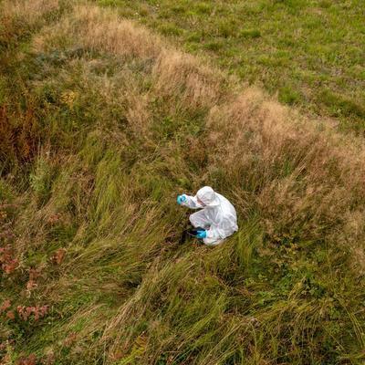 Cover image for research topic "Anthropogenic Effects on the Microbial Communities of Terrestrial Ecosystems"
