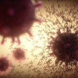 Cover image for research topic "A New Perspective in Immune Polymorphism (The HLA, KIR, and LILR genes)"