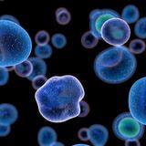 Cover image for research topic "Inflammation and Chronic Disease"