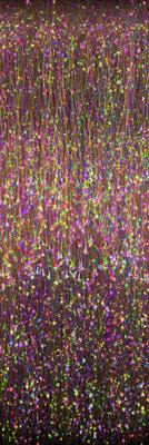 Cover image for research topic "Neuromodulation of Circuits in Brain Health and Disease"