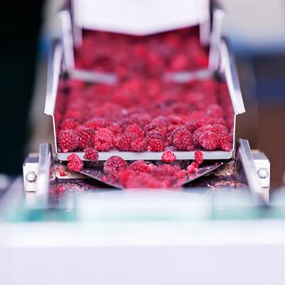 Cover image for research topic "Advances in Food Processing and Analysis: Product Quality and Green Revolution"