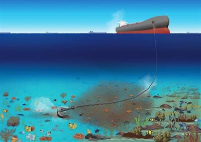 Cover image for research topic "Impacts of Anchor Scour, Vessel Moorings and Associated Infrastructure on Marine Habitats"