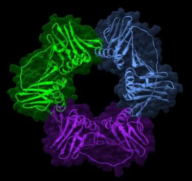 Cover image for research topic "The DNA Replication Machinery as Therapeutic Targets"