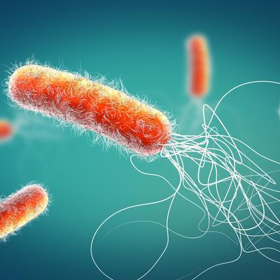 Cover image for research topic "Bacillus and Pseudomonas as Plant Friends: Molecular, Physiological and Ecological Interactions"