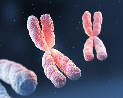 Cover image for research topic "Potential Therapeutic Approaches of Female Hormones in the Brain"