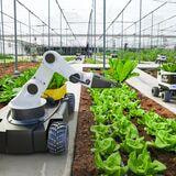 Cover image for research topic "Intelligent Robots for Agriculture -- Ag-Robot Development, Navigation, and Information Perception"