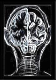 Cover image for research topic "The Alzheimer's Disease Challenge"