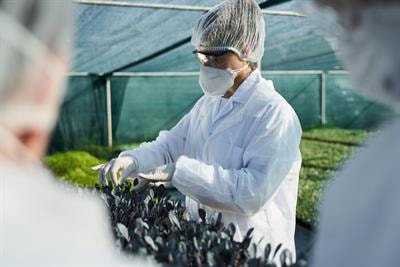 Cover image for research topic "Unraveling Pathogen-Plant-Microbiome Interactions in Horticultural Crops Through Omics Approaches"