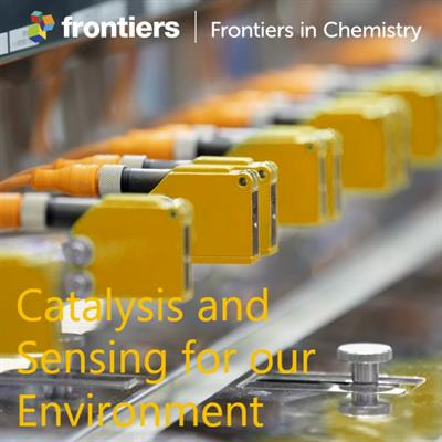 Cover image for research topic "Catalysis and Sensing for our Environment"
