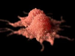 Cover image for research topic "Potential Biomarkers, Drug Targets, and New Therapeutic Approach in Intracavitary Cancer Therapy"