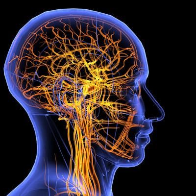 Cover image for research topic "Spotlights On Cardioneurology"
