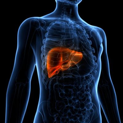 Cover image for research topic "Mechanistic insight and therapeutic potential for the management of non-alcoholic steatohepatitis (NASH)"