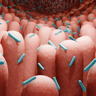 Cover image for research topic "Current Insights on Food Digestibility and Microbial Diversity"