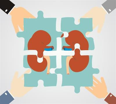 Cover image for research topic "Renal Hypertension at the Crossroads: Theoretical, Experimental and Clinical Aspects"