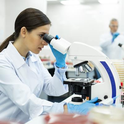 Cover image for research topic "Insights in Microorganisms in Vertebrate Digestive Systems: 2023"