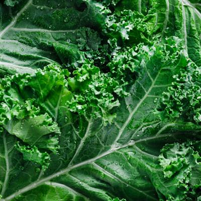 Cover image for research topic "Nutrient Density: Evidence of Multisectoral Approaches for Improved Nutrition"