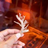 Cover image for research topic "Animal Models of Vascular Interventions"