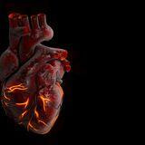 Cover image for research topic "Novel Translational Advances in Artificial Intelligence for
Diagnosis and Treatment of Cardiovascular Diseases"