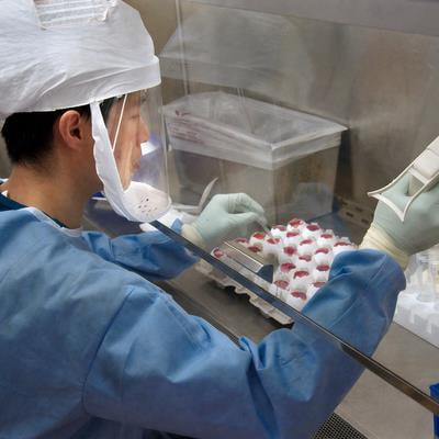 Cover image for research topic "Insights in Infectious Agents and Disease: 2023/2024"