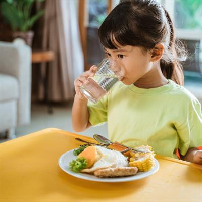 Cover image for research topic "Nutrition and Neurobehaviors"
