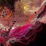 Cover image for research topic "Advancements in Ultrasound for Understanding the Nervous System"