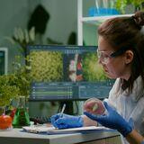 Cover image for research topic "Research and Developments in Cultured Meat Production"