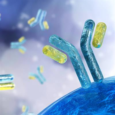 Cover image for research topic "Risk and Protective Factors in the Natural History of Autoimmunity"