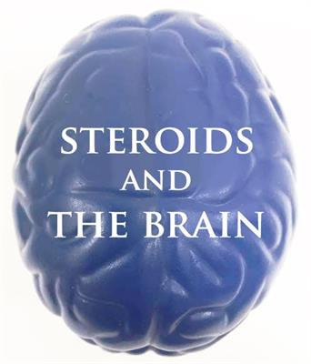 Cover image for research topic "Steroids and the Brain"