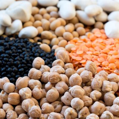 Cover image for research topic "Integrating Omics to Unveil Legume Stress Response Mechanisms"