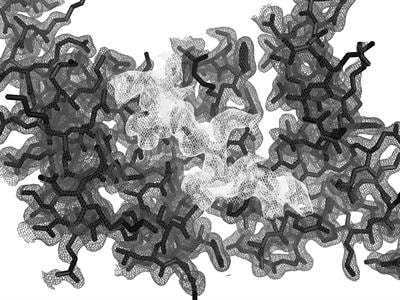 Cover image for research topic "Weak Interactions in Molecular Machinery"