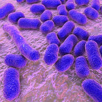 Cover image for research topic "Acinetobacter spp. – Antibiotic Resistance, Infection Control and Novel Treatments"