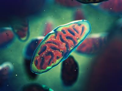 Cover image for research topic "Targeting Mitochondrial Dysfunction for the Discovery and Development of Novel CNS Therapies in Rare and Neurodegenerative Diseases"