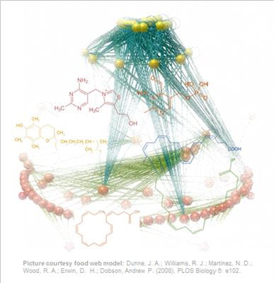 Cover image for research topic "Essential Biomolecules Caught in the Food Web? "