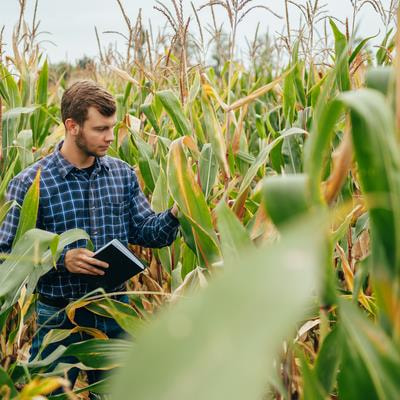 Cover image for research topic "Advancing Crop Disease Resistance Through Microbial-Assisted Breeding"