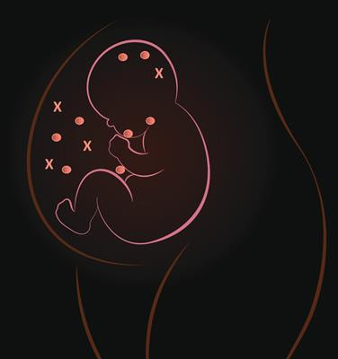 Cover image for research topic "Maternal Thyroid Function: Risk Factors and Adverse Effects on Mother and Child"