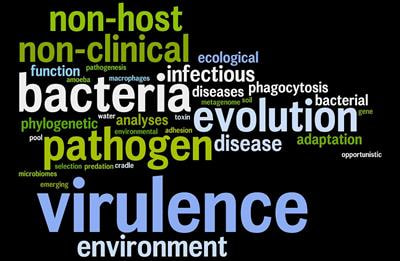 Cover image for research topic "Non-clinical Environments as Evolutionary Cradles of Bacterial Virulence   "