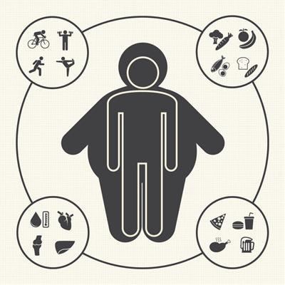 Cover image for research topic "Peripheral Regulators of Obesity"