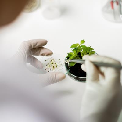 Cover image for research topic "NMR insights into Natural Product Chemistry"