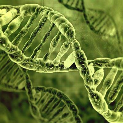 Cover image for research topic "Personalized Medicine in Cancer Research"