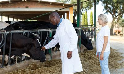 Cover image for research topic "Reviews in Veterinary Epidemiology and Economics"